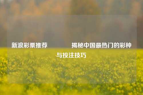 新浪彩票推荐👍揭秘中国最热门的彩种与投注技巧