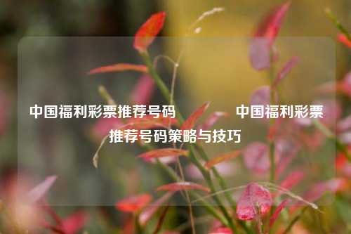 中国福利彩票推荐号码👍中国福利彩票推荐号码策略与技巧