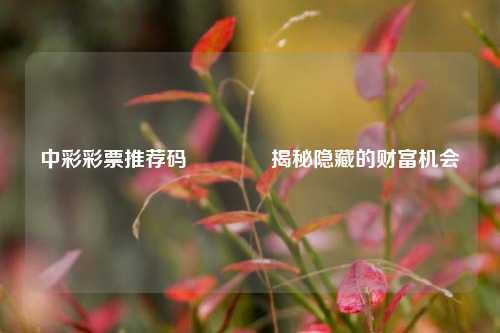 中彩彩票推荐码🏆揭秘隐藏的财富机会