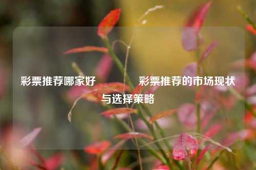 彩票推荐哪家好🌈彩票推荐的市场现状与选择策略