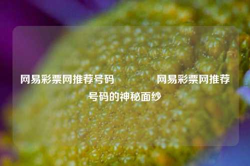 网易彩票网推荐号码🥇网易彩票网推荐号码的神秘面纱