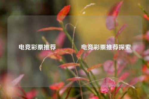 电竞彩票推荐🌈电竞彩票推荐探索