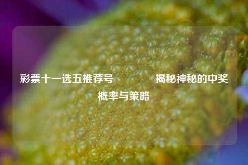彩票十一选五推荐号🥈揭秘神秘的中奖概率与策略
