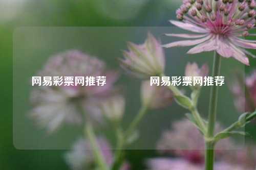 网易彩票网推荐👉网易彩票网推荐