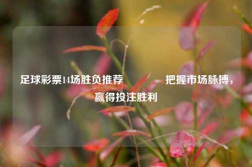 足球彩票14场胜负推荐🥈把握市场脉搏，赢得投注胜利
