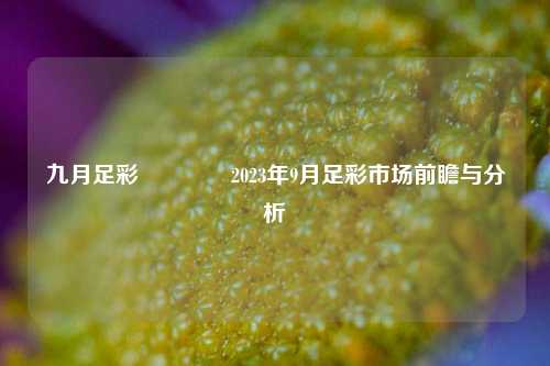 九月足彩🌈2023年9月足彩市场前瞻与分析