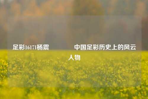 足彩16171杨震👉中国足彩历史上的风云人物