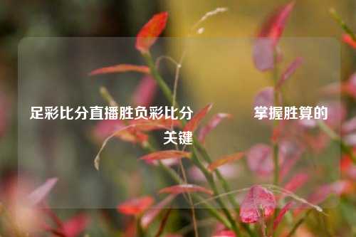 足彩比分直播胜负彩比分🌈掌握胜算的关键