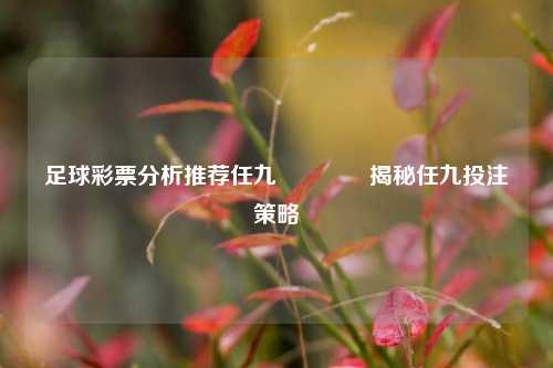 足球彩票分析推荐任九👉揭秘任九投注策略