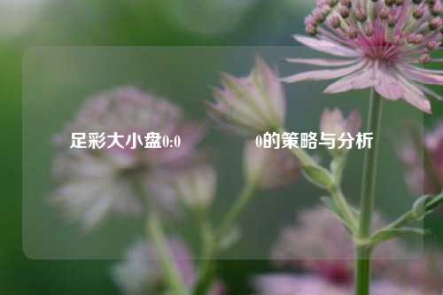 足彩大小盘0:0🏅0的策略与分析