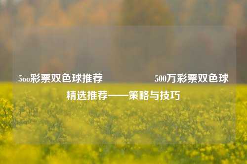 5oo彩票双色球推荐🎖️500万彩票双色球精选推荐——策略与技巧