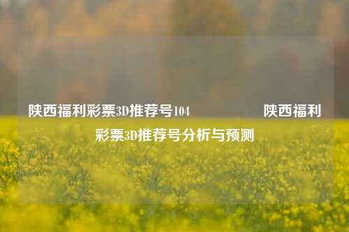陕西福利彩票3D推荐号104🎖️陕西福利彩票3D推荐号分析与预测