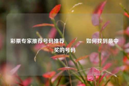 彩票专家推荐号码推荐👍如何找到最中奖的号码