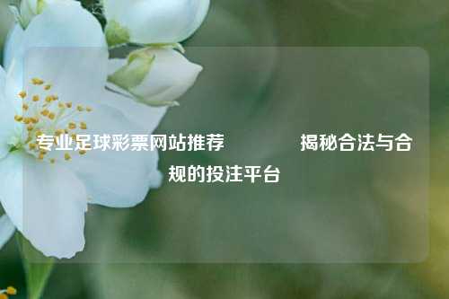 专业足球彩票网站推荐🥉揭秘合法与合规的投注平台