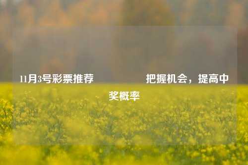 11月3号彩票推荐🎖️把握机会，提高中奖概率