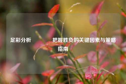 足彩分析👍把握胜负的关键因素与策略指南