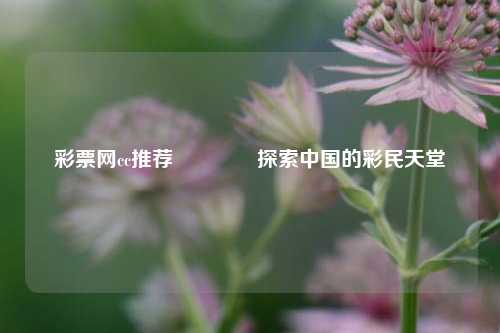 彩票网cc推荐🥇探索中国的彩民天堂