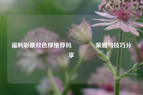 福利彩票双色球推荐码🥇策略与技巧分享