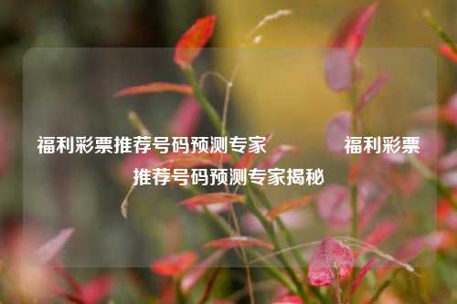 福利彩票推荐号码预测专家🏆福利彩票推荐号码预测专家揭秘