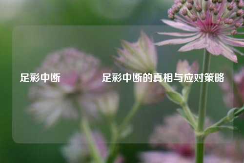 足彩中断🥈足彩中断的真相与应对策略
