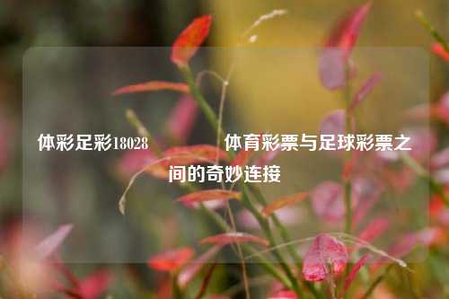 体彩足彩18028🏆体育彩票与足球彩票之间的奇妙连接
