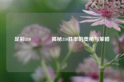足彩310🥇揭秘310胜率的奥秘与策略