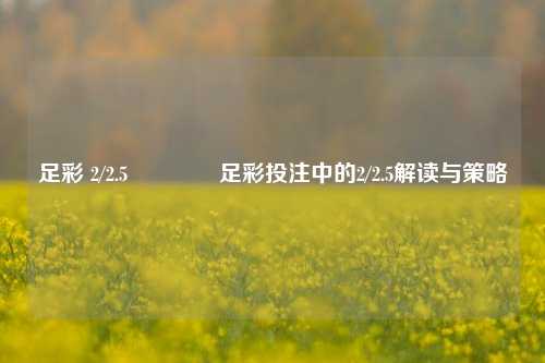 足彩 2/2.5🥇足彩投注中的2/2.5解读与策略
