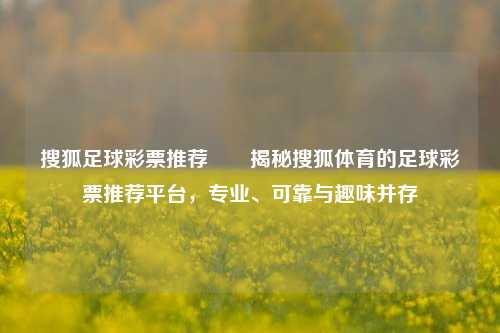 搜狐足球彩票推荐✌️揭秘搜狐体育的足球彩票推荐平台，专业、可靠与趣味并存