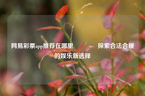 网易彩票app推荐在哪里🏅探索合法合规的娱乐新选择