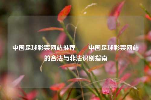 中国足球彩票网站推荐✌️中国足球彩票网站的合法与非法识别指南