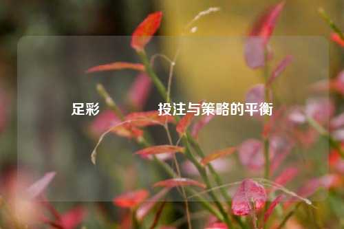 足彩👈投注与策略的平衡