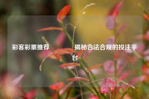 彩客彩票推荐🌈揭秘合法合规的投注平台