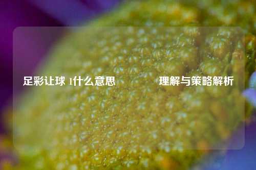 足彩让球 1什么意思🥉理解与策略解析
