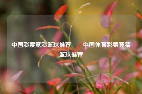 中国彩票竞彩篮球推荐✌️中国体育彩票竞猜篮球推荐