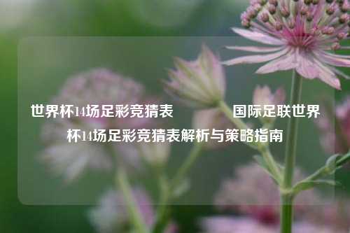 世界杯14场足彩竞猜表👉国际足联世界杯14场足彩竞猜表解析与策略指南