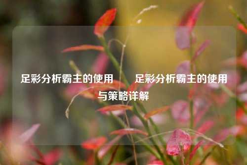 足彩分析霸主的使用✌️足彩分析霸主的使用与策略详解