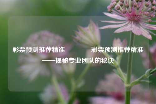 彩票预测推荐精准👉彩票预测推荐精准——揭秘专业团队的秘诀