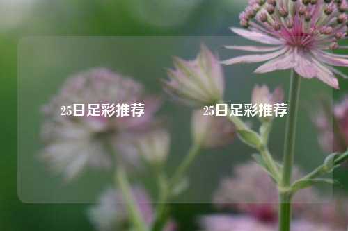 25日足彩推荐👉25日足彩推荐