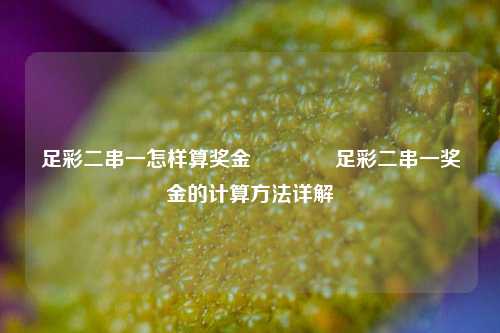 足彩二串一怎样算奖金🌈足彩二串一奖金的计算方法详解