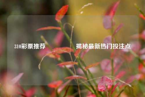 310彩票推荐🎖️揭秘最新热门投注点