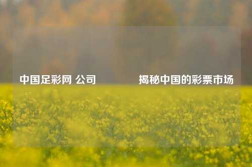 中国足彩网 公司🥇揭秘中国的彩票市场