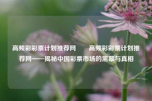 高频彩彩票计划推荐网✌️高频彩彩票计划推荐网——揭秘中国彩票市场的黑幕与真相