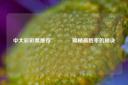 中大彩彩票推荐👍揭秘高胜率的秘诀