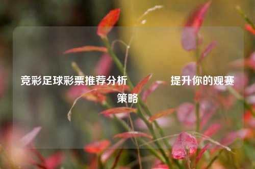 竞彩足球彩票推荐分析👍提升你的观赛策略