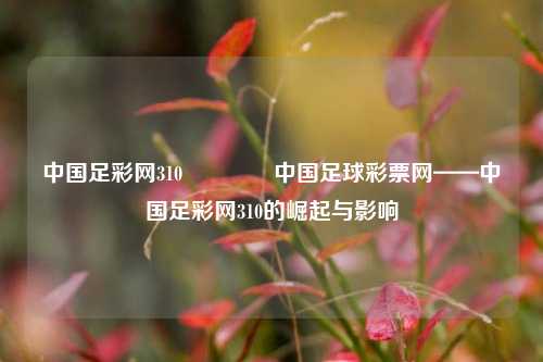 中国足彩网310🏅中国足球彩票网——中国足彩网310的崛起与影响