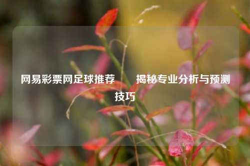网易彩票网足球推荐✌️揭秘专业分析与预测技巧