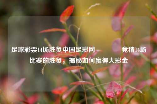 足球彩票14场胜负中国足彩网👉竞猜14场比赛的胜负，揭秘如何赢得大彩金