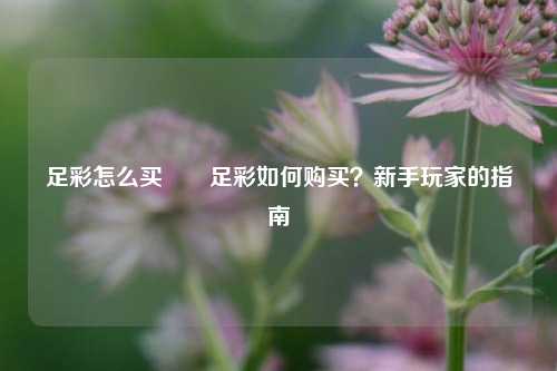 足彩怎么买✌️足彩如何购买？新手玩家的指南