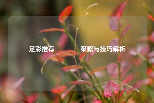 足彩推荐🏅策略与技巧解析
