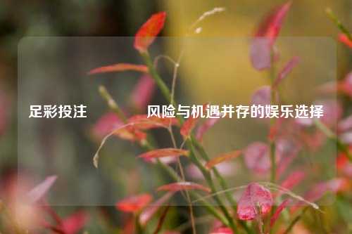 足彩投注🏆风险与机遇并存的娱乐选择